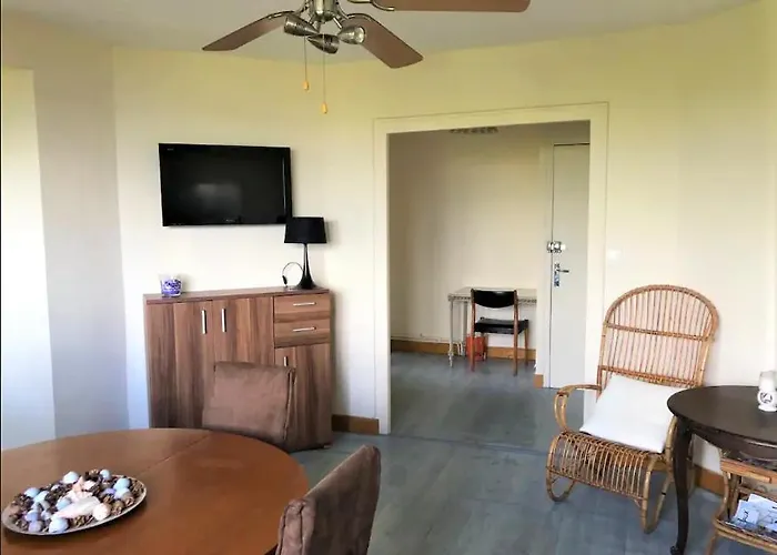 Vue Sur Baie Et Ocean, 100 M De La Et Du Centre Par Chemin Prive Apartman Arcachon