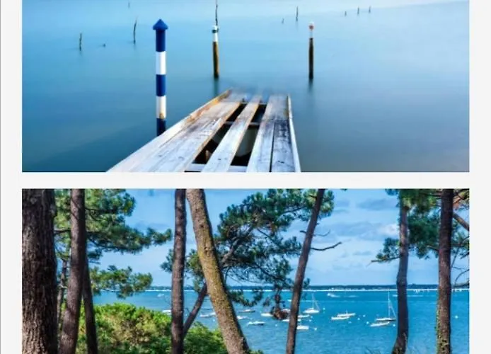 Apartman Vue Sur Baie Et Ocean, 100 M De La Et Du Centre Par Chemin Prive Arcachon