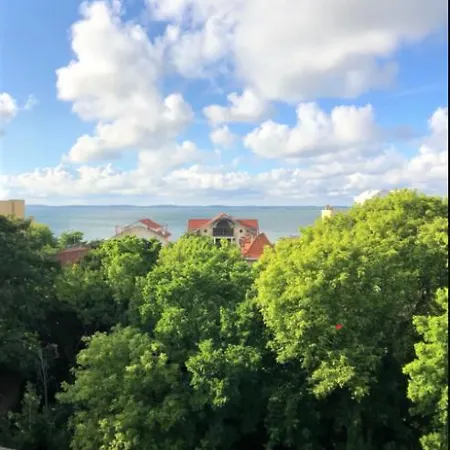 Vue Sur Baie Et Ocean, 100 M De La Et Du Centre Par Chemin Prive Arcachon