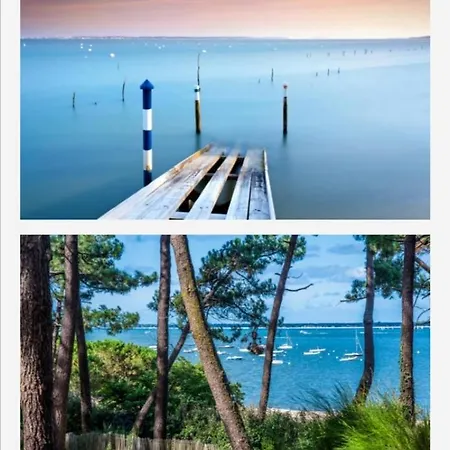 Apartment Vue Sur Baie Et Ocean, 100 M De La Et Du Centre Par Chemin Prive Arcachon