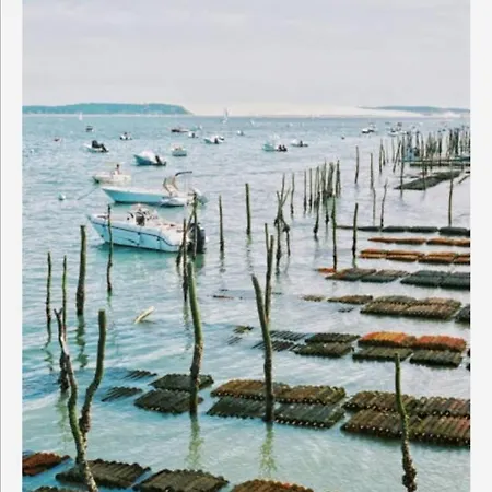 Vue Sur Baie Et Ocean, 100 M De La Et Du Centre Par Chemin Prive דירה