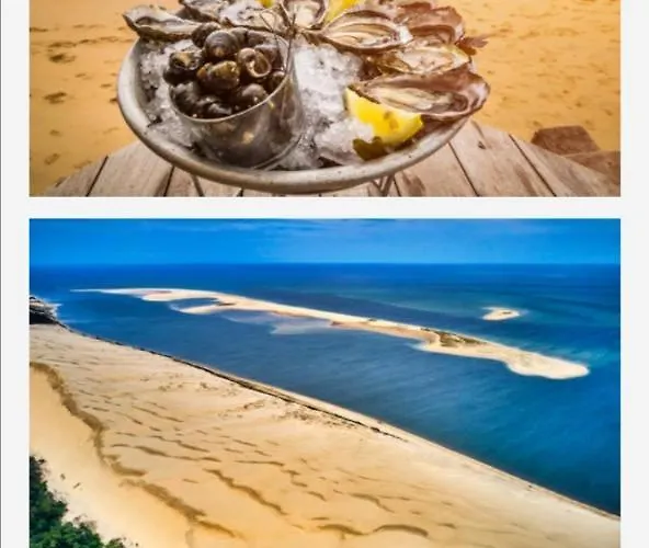 דירה Vue Sur Baie Et Ocean, 100 M De La Et Du Centre Par Chemin Prive
