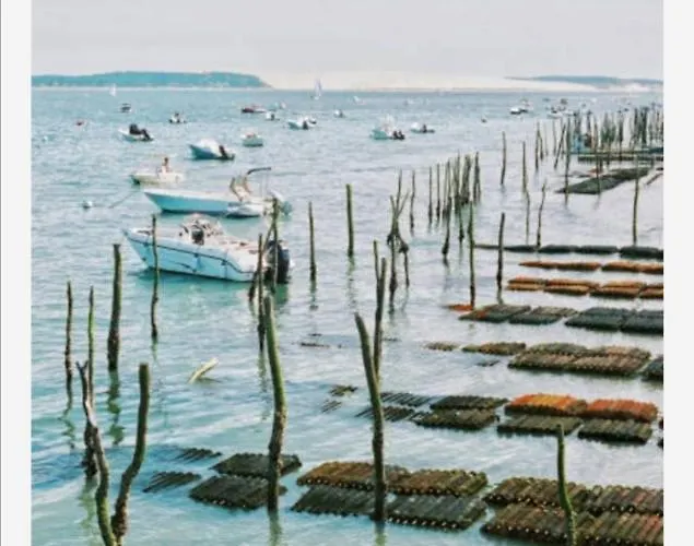 Vue Sur Baie Et Ocean, 100 M De La Et Du Centre Par Chemin Prive דירה